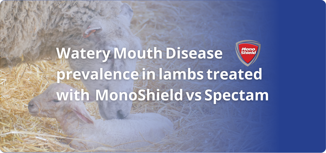 Watery Mouth Disease prevalence in lambs treated with MonoShield vs Sp ...