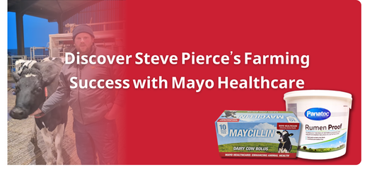 Discover Steve Pierce’s Dairy Farming Success with Mayo Healthcare