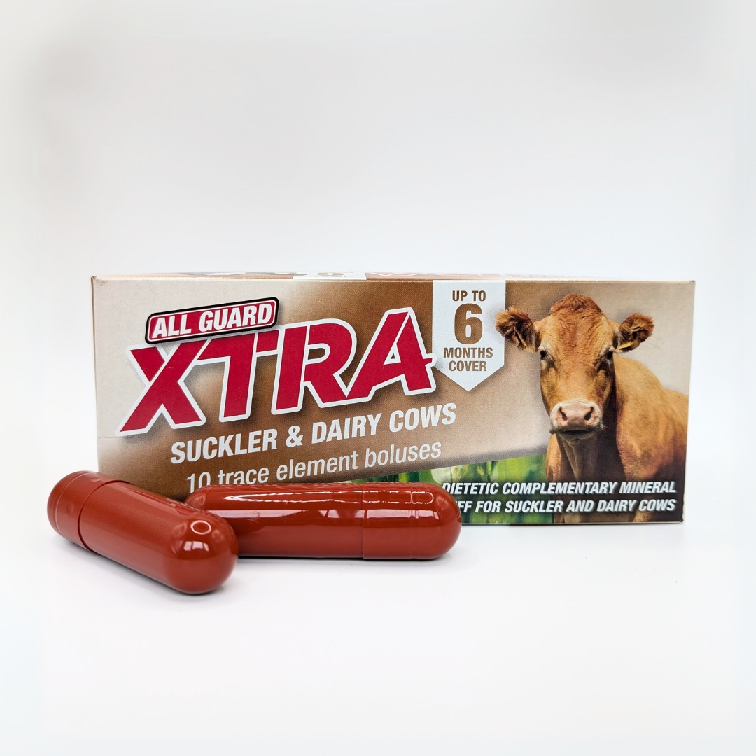 All Guard Xtra