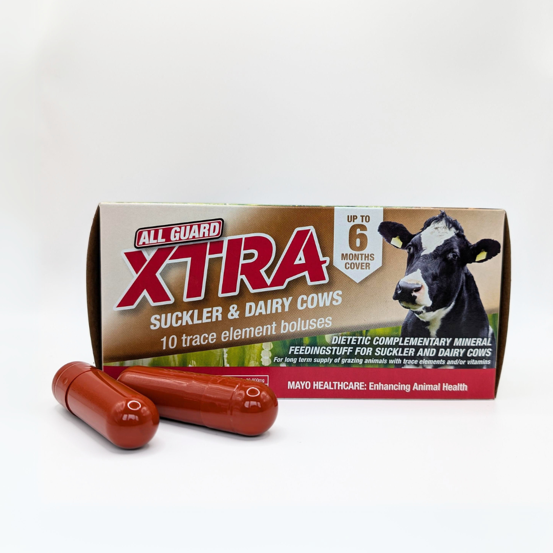 All Guard Xtra