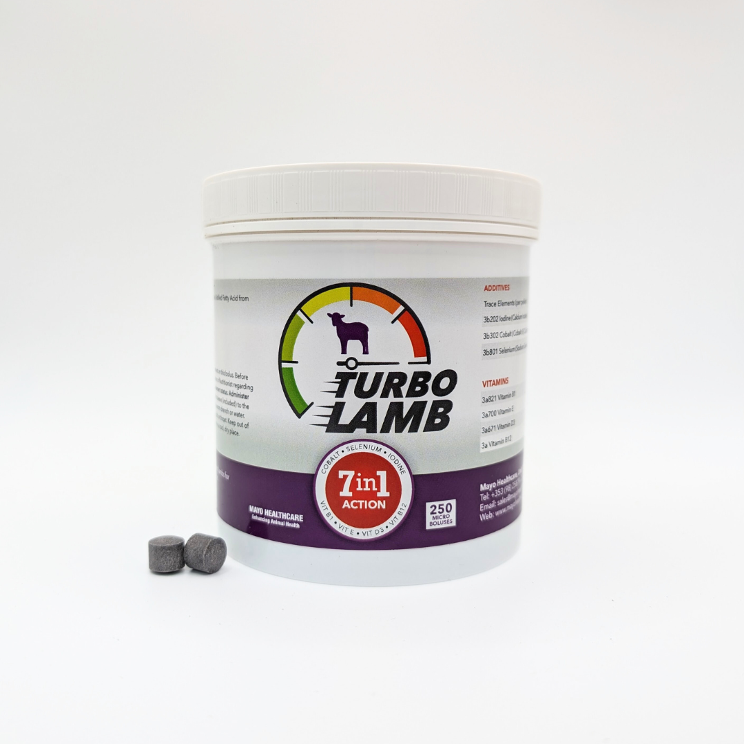 Turbo Lamb 7in1