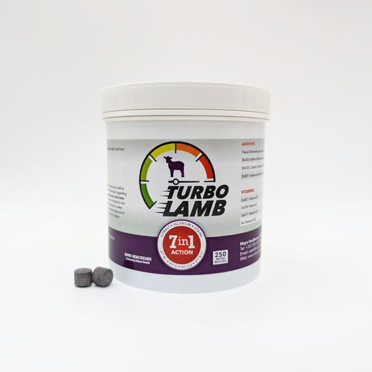 Turbo Lamb 7in1